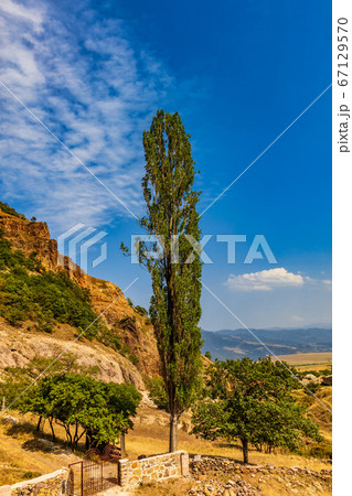 Ardvi Poplar tree landscape landmark Lorri Armenia eastern Europe 67129570