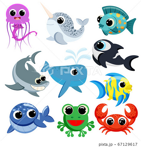 ocean animal set vector 67129617