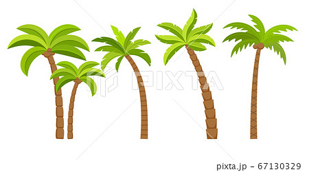 Palm Tree Vector Island Coconut Cartoon Icon Stock Illustration Palm Tree Vector Island Coconut Cartoon Icon Stock Illustration