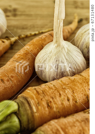 whole head of garlic stands among the carrots long whole head of garlic stands among the carrots long 67131480