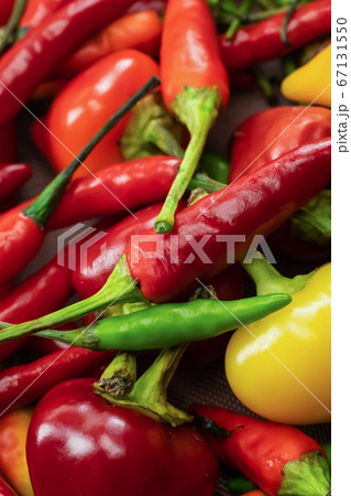 vertical chili pepper bright vegetable pattern red 67131550