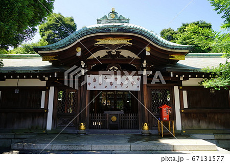 7月 港区318白金氷川神社 7月 港区318白金氷川神社 67131577