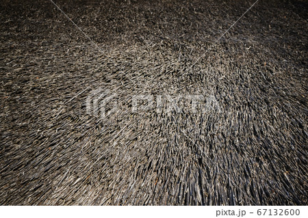 Dry thatched roof Dry thatched roof 67132600