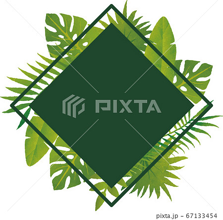 夏 植物 フレーム 水彩 コピースペースのイラスト素材