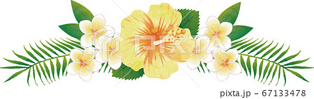 夏　植物　花　ハイビスカス　水彩タッチ　イラスト素材 67133478