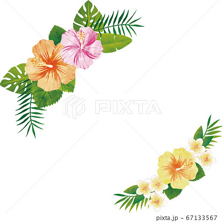 夏 植物 花 ハイビスカス トロピカル 南国 フレーム 水彩 コピースペースのイラスト素材
