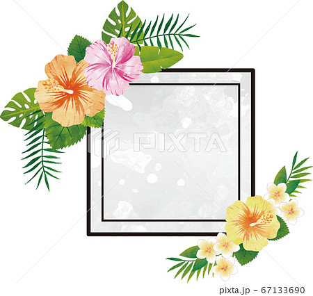 夏 植物 花 ハイビスカス トロピカル 南国 フレーム 水彩 コピースペースのイラスト素材