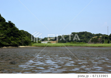 干潟の風景 67133965