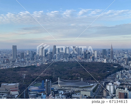新宿の高層ビル街 新宿の高層ビル街 67134615