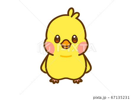 ひよこのイラスト素材 [67135231] - PIXTA