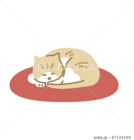丸まって寝る猫のイラスト素材
