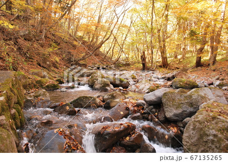 栃木 県民の森 宮川渓谷の流れ 栃木 県民の森 宮川渓谷の流れ 67135265