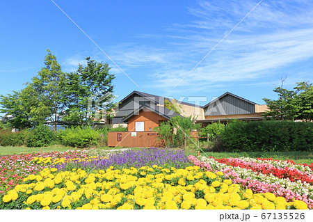 夏の安曇野ちひろ公園 67135526