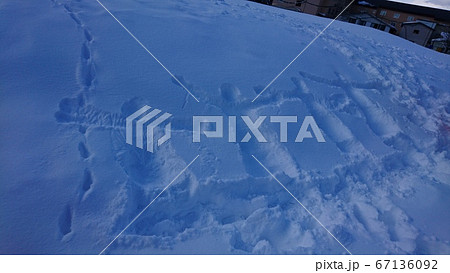 雪で四人の形 雪で四人の形 67136092