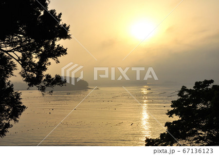 三陸復興国立公園　みちのく潮風トレイル　志津川湾の日の出 67136123