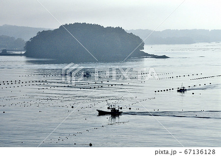 三陸復興国立公園　みちのく潮風トレイル　志津川湾の朝 67136128