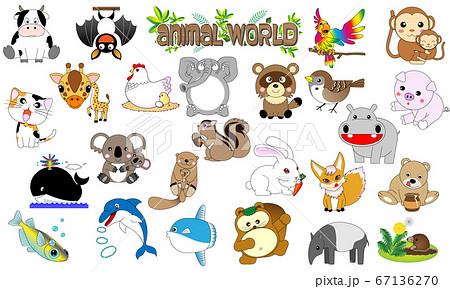 動物いろいろ25匹 動物いろいろ25匹 67136270