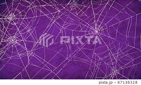 蜘蛛の巣の背景のイラスト素材