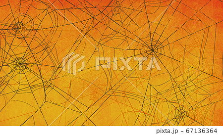 蜘蛛の巣の背景 蜘蛛の巣の背景 67136364