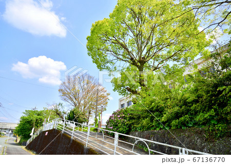 旧みやま市立竹海小学校 福岡県みやま市高田町海津966 2016年3月31日閉校 旧みやま市立竹海小学校 福岡県みやま市高田町海津966 2016年3月31日閉校 67136770
