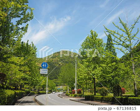 米泉湖公園の新緑(1) 67136815