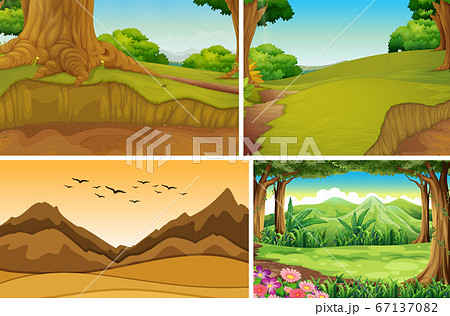 Four different nature scene of forest and mountain Four different nature scene of forest and mountain 67137082