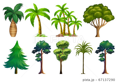 Set of variety plants and trees 67137290