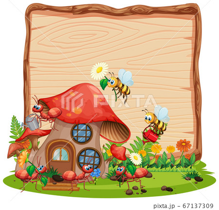 Blank wooden board in nature with animal garden Blank wooden board in nature with animal garden 67137309