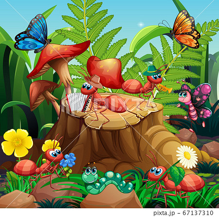 Scene with plants and insects in the garden Scene with plants and insects in the garden 67137310