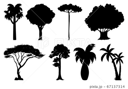 Set of plant and tree silhouette 67137314