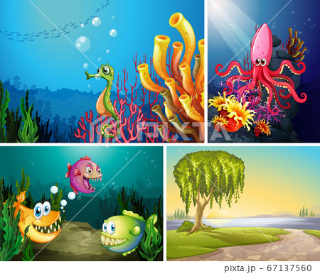 Four different scene of tropical beach and 67137560