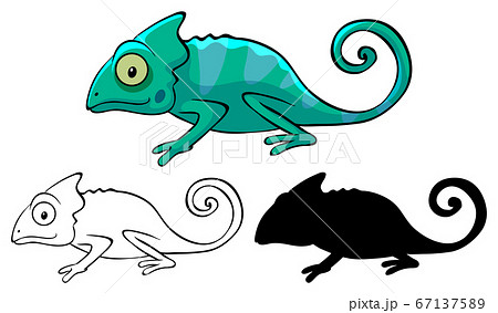 Set Of Chameleon Cartoonのイラスト素材