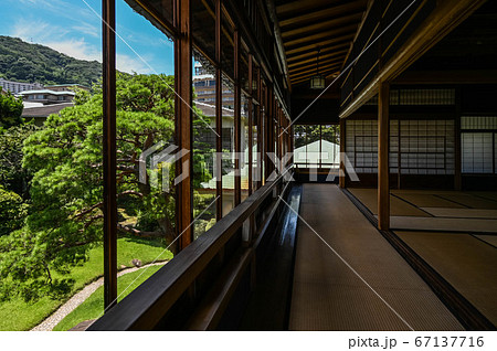 熱海　起雲閣　和館と庭園の風景 67137716