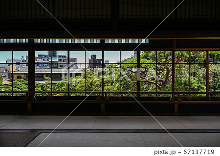熱海 起雲閣 和館と庭園の風景 熱海 起雲閣 和館と庭園の風景 67137719