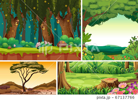 Four different nature scene of forest cartoon 67137766