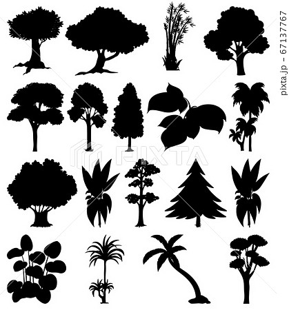 Set of plant and tree silhouette Set of plant and tree silhouette 67137767