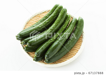 きゅうり 67137888