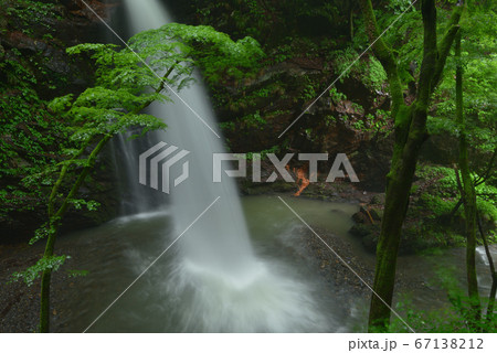 梅雨の季節で水量豊かな柱戸不動滝 群馬県みどり市東町座間の柱戸川の不動滝 梅雨の季節で水量豊かな柱戸不動滝 群馬県みどり市東町座間の柱戸川の不動滝 67138212