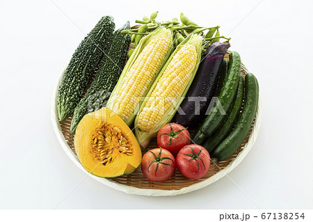 夏野菜 夏野菜 67138254