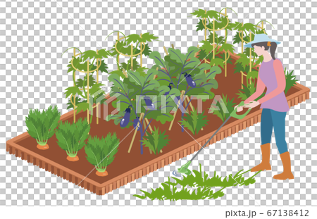 家庭菜園-電動芝刈り機で雑草を刈る 67138412