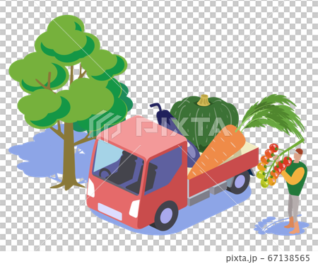 Kitchen garden-transporting vegetables by light tiger Kitchen garden-transporting vegetables by light tiger 67138565