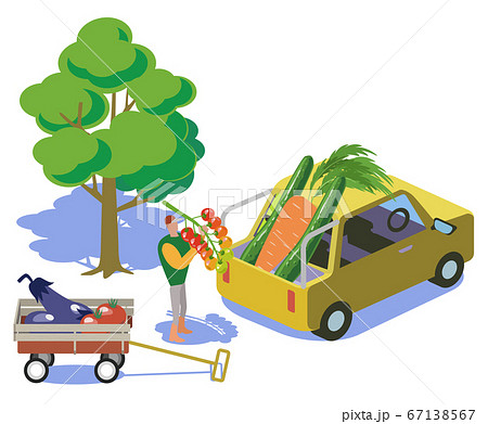 家庭菜園-野菜を車で運搬する 67138567