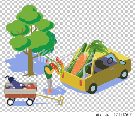 家庭菜園 野菜を車で運搬するのイラスト素材