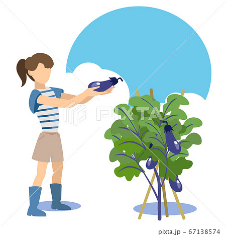 家庭菜園 茄子を収穫する女性のイラスト素材