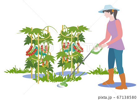 家庭菜園-電動芝刈り機で雑草を刈る女性 家庭菜園-電動芝刈り機で雑草を刈る女性 67138580