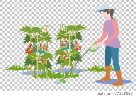 Kitchen garden-woman cutting weeds with electric lawn mower 67138580