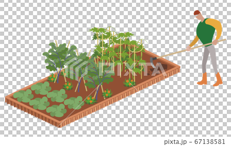 Kitchen garden-men making ridges with a hoe 67138581