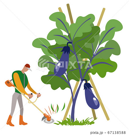 家庭菜園-石油草刈り機で草を刈る男性 67138588