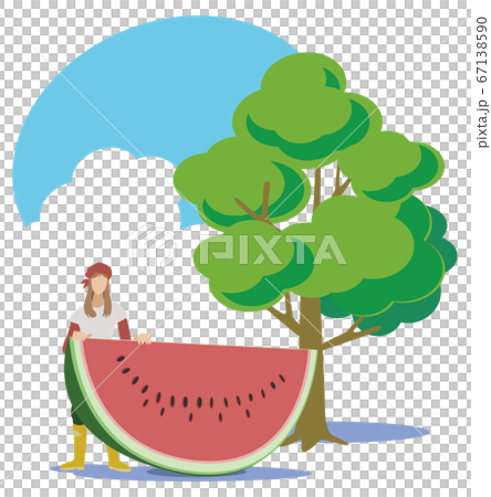 Kitchen garden-woman harvesting giant watermelon 67138590