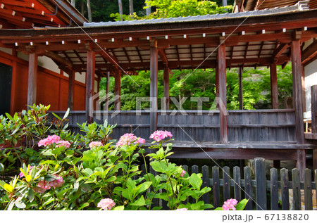 延命長寿の長命寺 延命長寿の長命寺 67138820